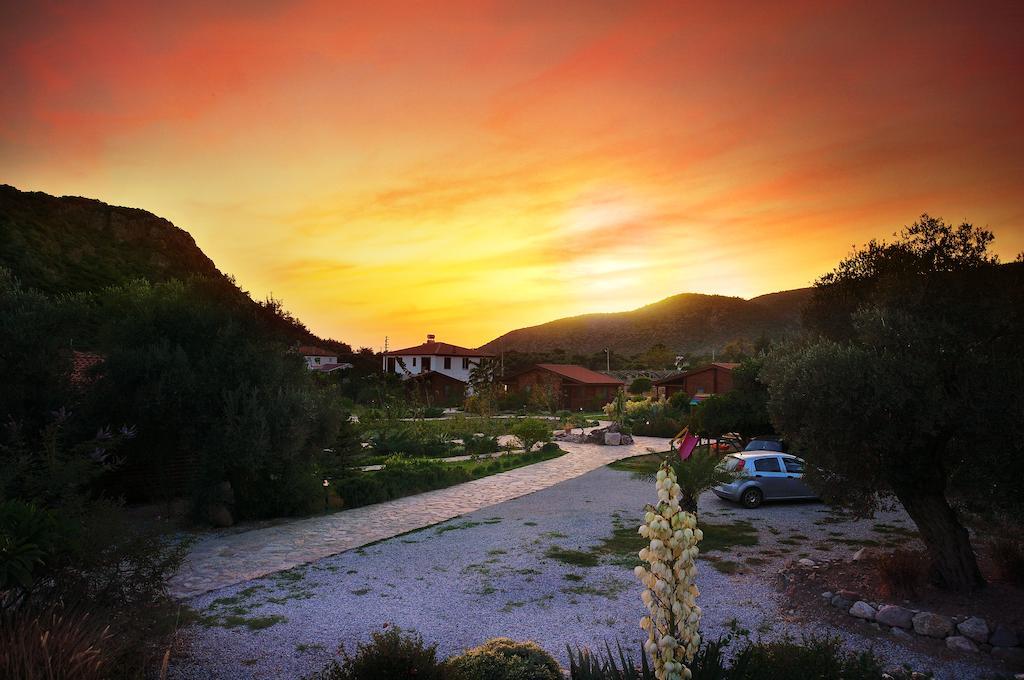 Hayitbuku Ahsapevleri Hostal Mesudiye  Exterior foto
