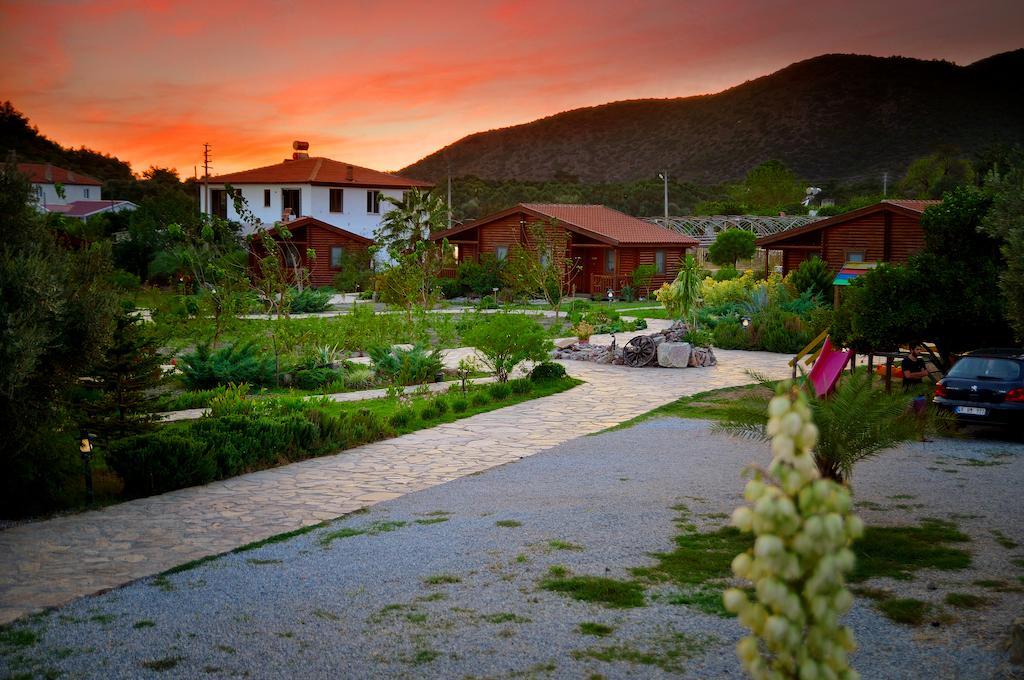 Hayitbuku Ahsapevleri Hostal Mesudiye  Exterior foto
