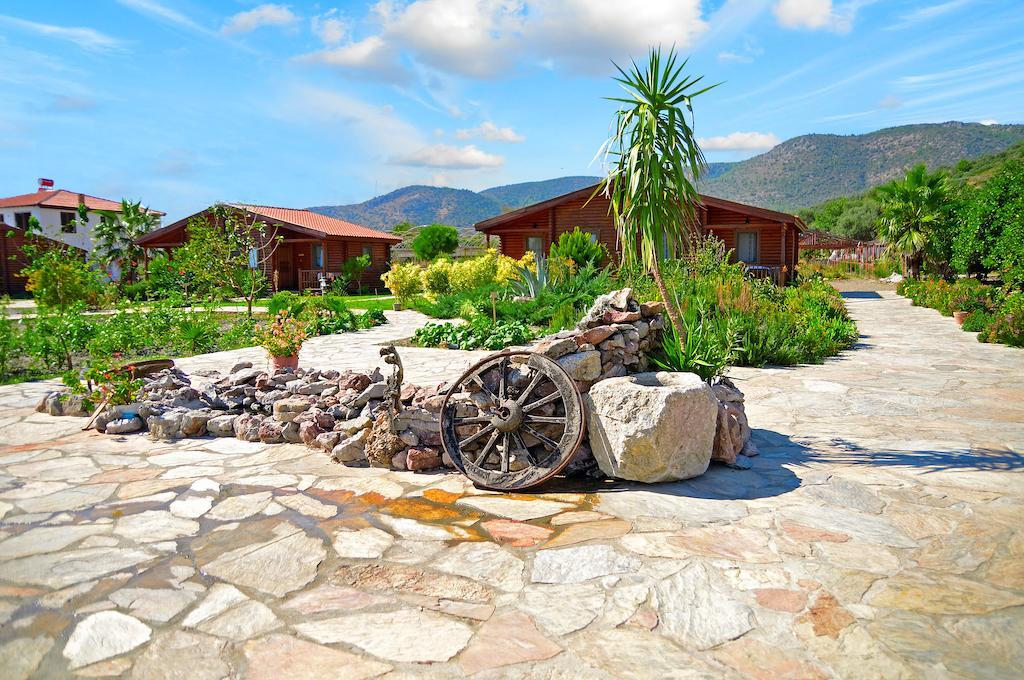 Hayitbuku Ahsapevleri Hostal Mesudiye  Exterior foto