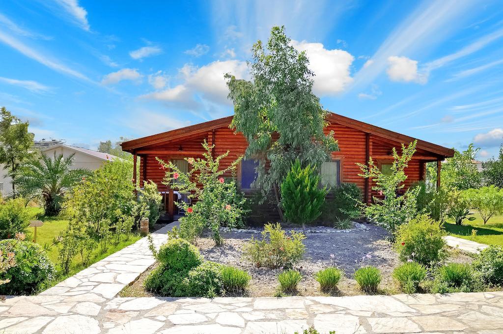 Hayitbuku Ahsapevleri Hostal Mesudiye  Exterior foto