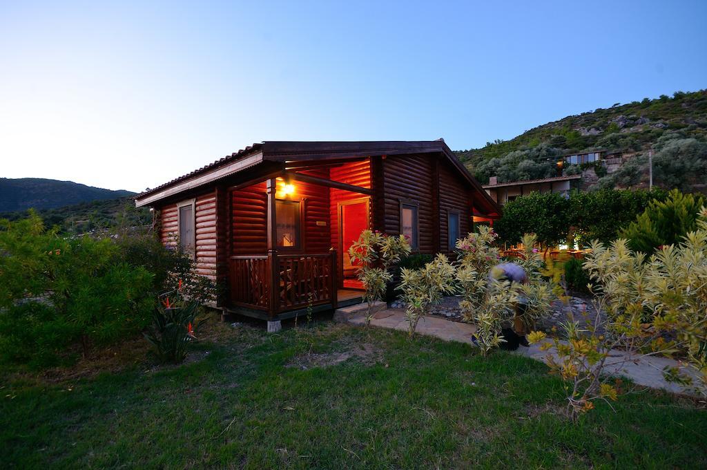 Hayitbuku Ahsapevleri Hostal Mesudiye  Exterior foto