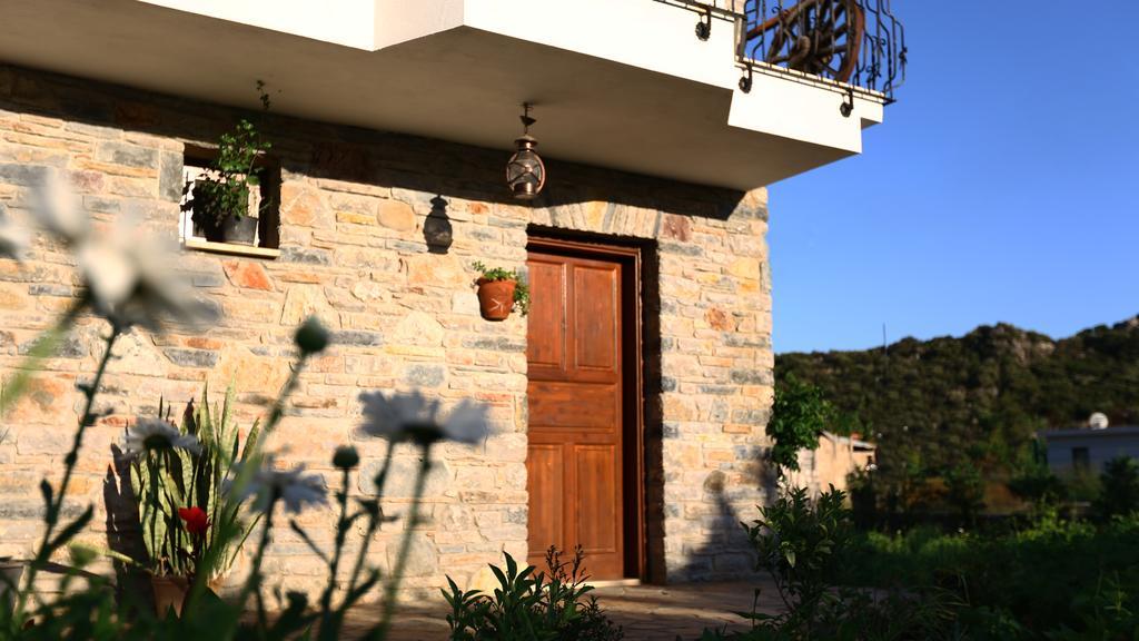 Hayitbuku Ahsapevleri Hostal Mesudiye  Exterior foto