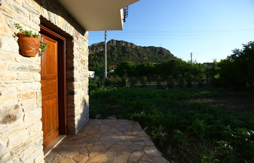 Hayitbuku Ahsapevleri Hostal Mesudiye  Exterior foto
