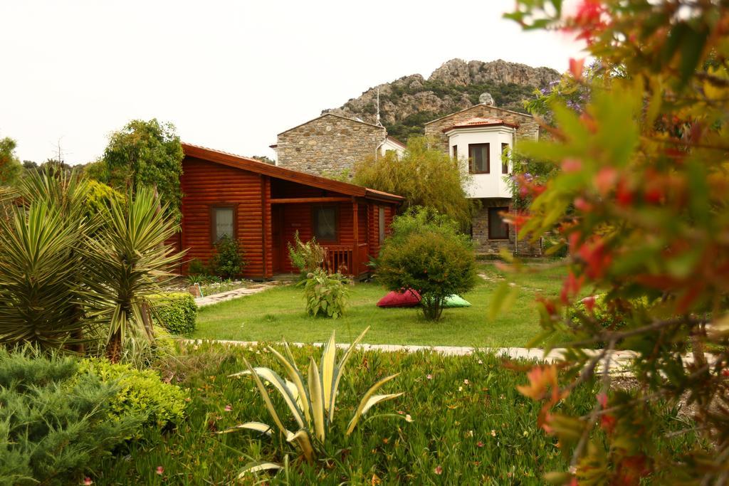 Hayitbuku Ahsapevleri Hostal Mesudiye  Exterior foto