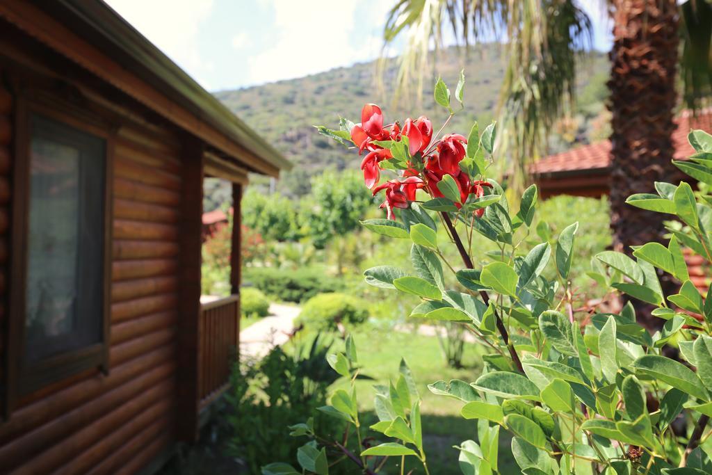 Hayitbuku Ahsapevleri Hostal Mesudiye  Exterior foto