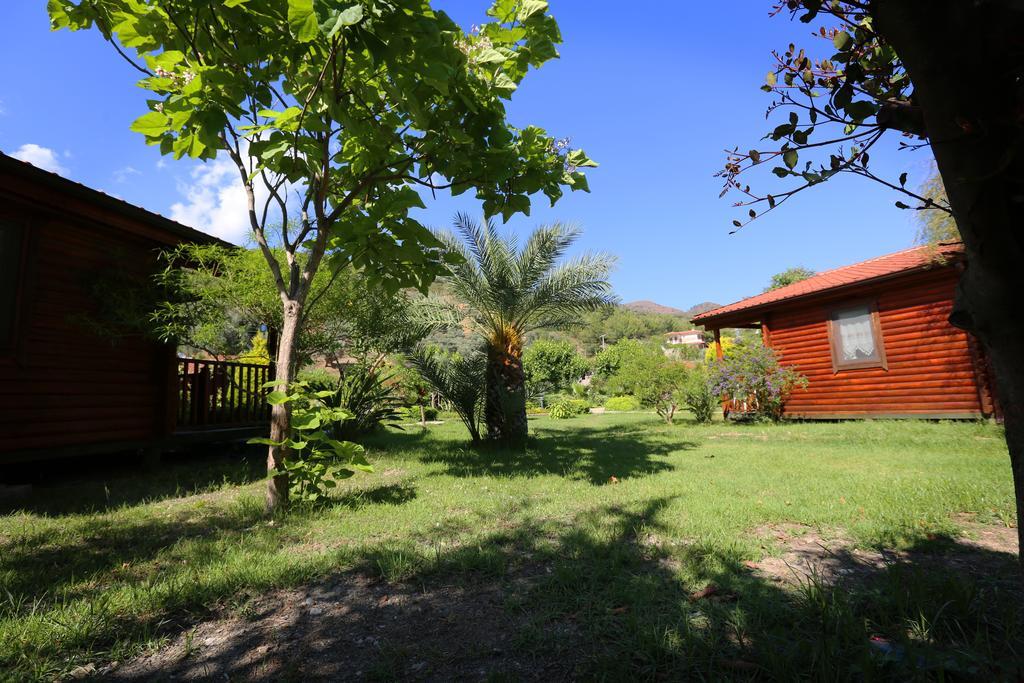 Hayitbuku Ahsapevleri Hostal Mesudiye  Exterior foto