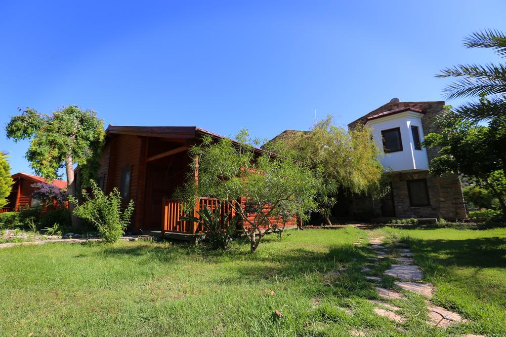 Hayitbuku Ahsapevleri Hostal Mesudiye  Exterior foto