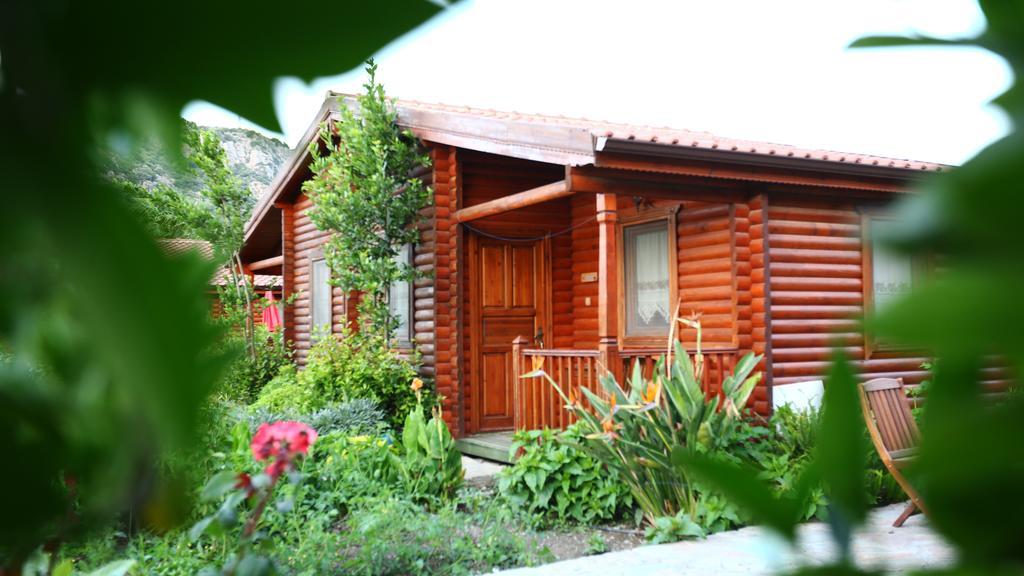 Hayitbuku Ahsapevleri Hostal Mesudiye  Exterior foto