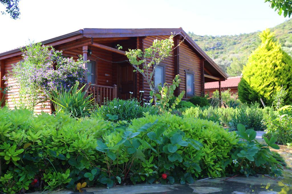 Hayitbuku Ahsapevleri Hostal Mesudiye  Exterior foto