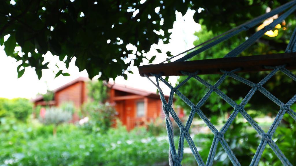 Hayitbuku Ahsapevleri Hostal Mesudiye  Exterior foto
