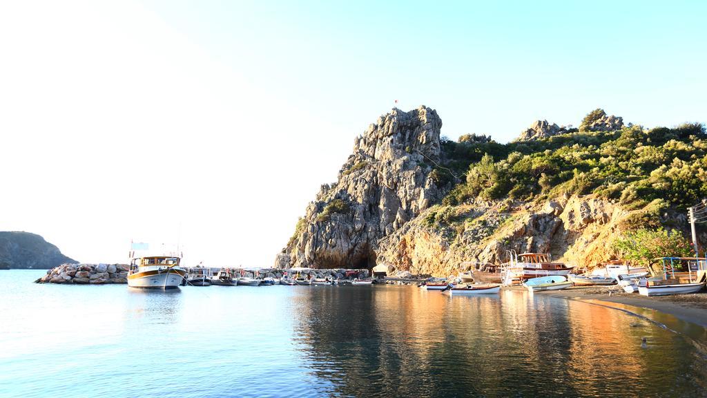 Hayitbuku Ahsapevleri Hostal Mesudiye  Exterior foto