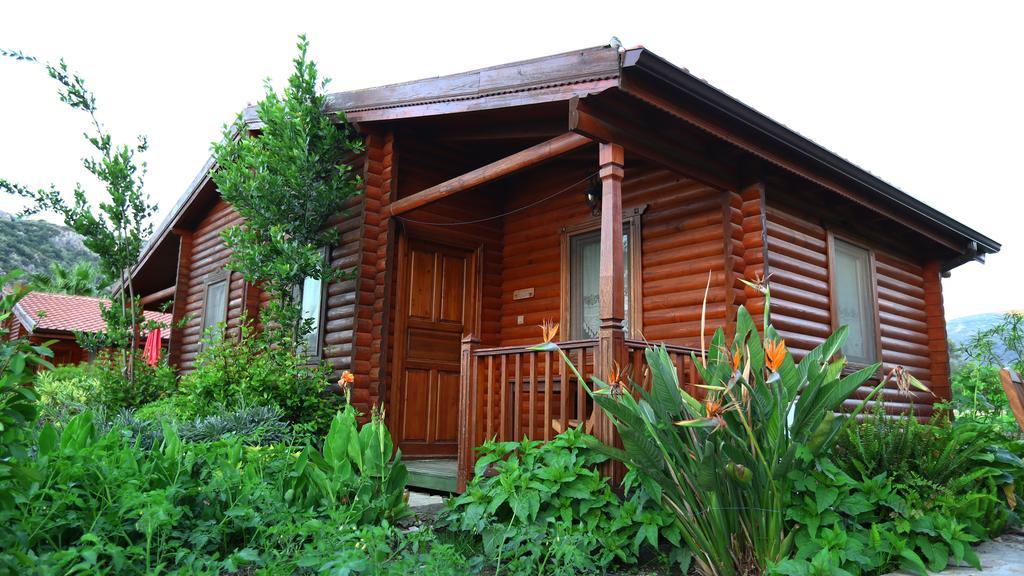 Hayitbuku Ahsapevleri Hostal Mesudiye  Exterior foto