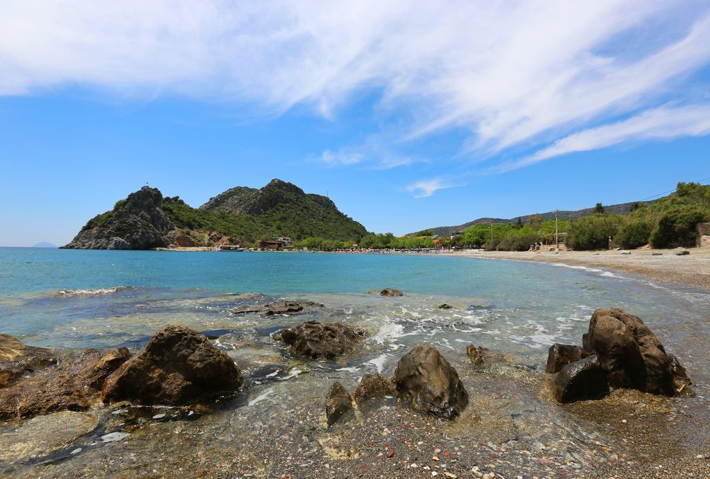 Hayitbuku Ahsapevleri Hostal Mesudiye  Exterior foto