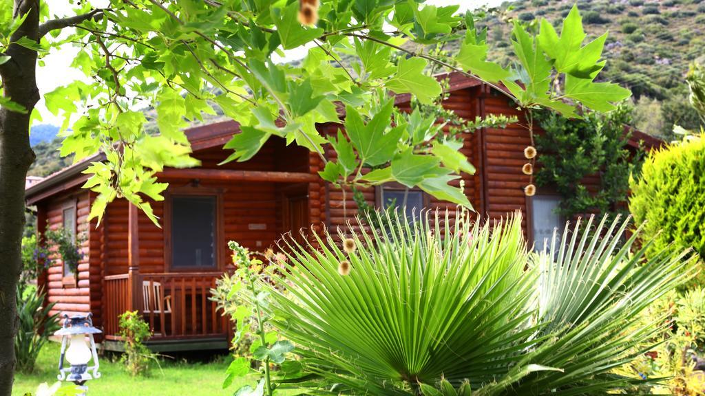 Hayitbuku Ahsapevleri Hostal Mesudiye  Exterior foto