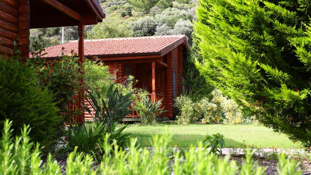 Hayitbuku Ahsapevleri Hostal Mesudiye  Exterior foto